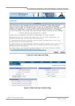 Preview for 13 page of SmartBridges airHaul Nexus sB3010 User Manual