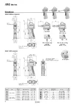 Предварительный просмотр 4 страницы SMC Networks IBG Series Manual