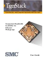 SMC Networks TigerStack User Manual preview
