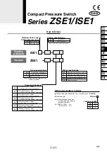 Preview for 2 page of SMC Networks ZSE1 Series User Manual