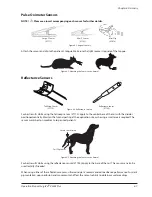 Preview for 47 page of Smiths Medical SurgiVet V3404 Plus Operation Manual