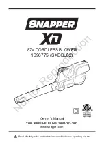 Snapper 1696775 Owner'S Manual preview