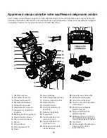 Preview for 50 page of SNOWJOE 24V-X4-SB24 Operator'S Manual