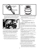 Предварительный просмотр 42 страницы SNOWJOE SJG4100LP Instruction Manual