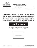 SNOWJOE sunjoe 20ViONLTE-BLW-RM Operator'S Manual preview