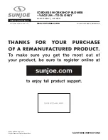 SNOWJOE Sunjoe 24V-WSB-CT-RM Operator'S Manual preview