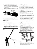 Предварительный просмотр 17 страницы SNOWJOE SUNJOE iON100V-10PS-CT Operator'S Manual