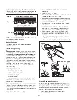 Предварительный просмотр 19 страницы SNOWJOE SUNJOE iON100V-10PS-CT Operator'S Manual