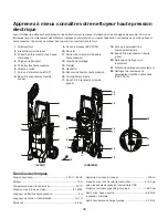 Preview for 46 page of SNOWJOE SUNJOE SPX2005P Operator'S Manual