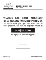 SNOWJOE SUNJOE SWJ698E-RM Operator'S Manual preview