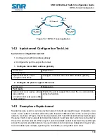 Предварительный просмотр 100 страницы SNR S2940-8G-v2 Configuration Manual