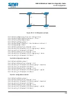 Предварительный просмотр 393 страницы SNR S2940-8G-v2 Configuration Manual