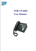 SNR SNR-VP-6020 User Manual preview