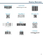 Preview for 121 page of Socket DURASCAN D740 Programming Manual