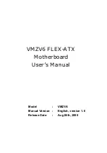 Socket VMZV6 FLEX-ATX User Manual предпросмотр