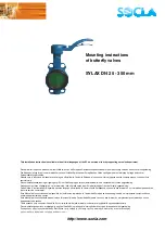 Socla SYLAX DN 100 Mounting Instructions предпросмотр