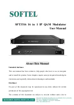 Softel SFT3316 User Manual preview