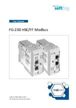 Softing FG-200 HSE/FF User Manual preview