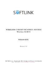 Preview for 1 page of SOFTLINK WB169-RFG Manual