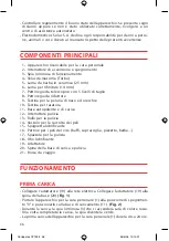 Preview for 36 page of SOLAC CP7395 Instructions For Use Manual