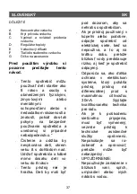 Preview for 39 page of SOLAC SH7088 Instructions For Use Manual