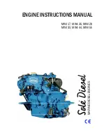 Sole Diesel MINI 17 Instruction Manual preview