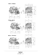 Preview for 13 page of Sole Diesel MINI 17 Instruction Manual