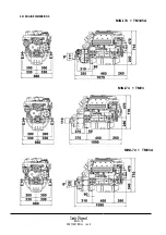 Предварительный просмотр 14 страницы Sole Diesel MINI-74 Instruction Manual