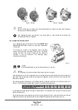 Предварительный просмотр 21 страницы Sole Diesel MINI-74 Instruction Manual