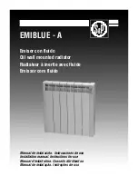 Soler & Palau EMIBLUE-A Installation Manual preview