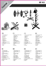 Preview for 2 page of Somogyi home SF 40 Instruction Manual