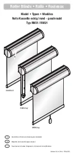 Sonevo RM21 Manual preview