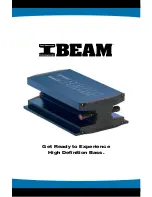 Sonic immersion iBeam VT300 Install Manual preview