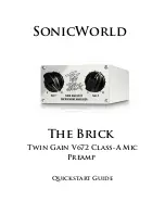 Предварительный просмотр 1 страницы Sonic World THE BRICK Quick Start Manual