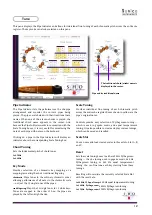 Preview for 13 page of Sonica Instruments Virtuoso Japanese SHO User Manual