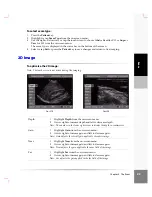 Предварительный просмотр 31 страницы SonoSite iLook User Manual