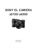 Sony ALPHA 5100 Manual preview