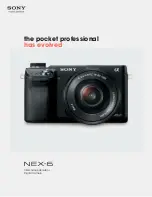 Sony Alpha NEX-6 Specifications preview