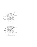 Предварительный просмотр 25 страницы Sony B Mechanism Operation Manual