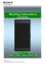 Sony C6943 Working Instructions preview