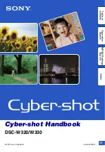 Sony Cyber-shot 4-166-049-12(1) Handbook preview