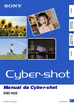 Предварительный просмотр 1 страницы Sony Cyber-shot DSC-H20 (Spanish) Manual Del Usuario