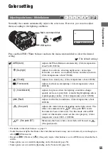 Предварительный просмотр 55 страницы Sony Cyber-shot DSC-R1 User'S Manual / Troubleshooting