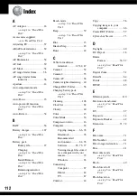 Предварительный просмотр 112 страницы Sony Cyber-shot DSC-T30 User'S Manual / Troubleshooting