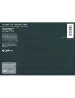 Предварительный просмотр 181 страницы Sony Cyber-shot DSC-W125 Instruction Manual