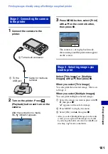 Предварительный просмотр 101 страницы Sony Cyber-shot DSC-W210 Handbook