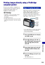 Предварительный просмотр 115 страницы Sony Cyber-shot DSC-W300 Handbook