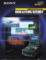 Preview for 1 page of Sony DNW-A25WS Brochure & Specs