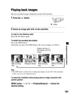 Preview for 101 page of Sony DSLR-A300 - alpha; Digital Single Lens Reflex Camera Body Instruction Manual