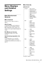 Предварительный просмотр 17 страницы Sony DWRS02D/14 Operating Instructions Manual